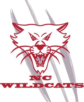 North County Wildcats Tackle Football and Cheer: Inspiring Excellence, Creating Champions